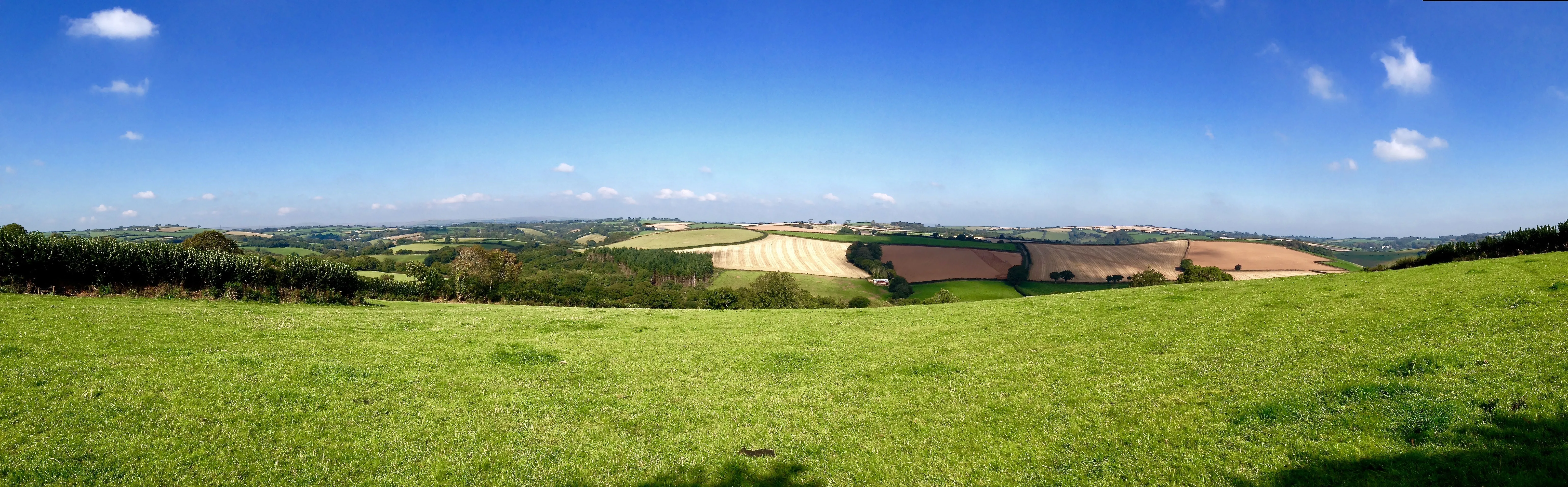 Open fields and hedgerows seen from the farm’s upper fields